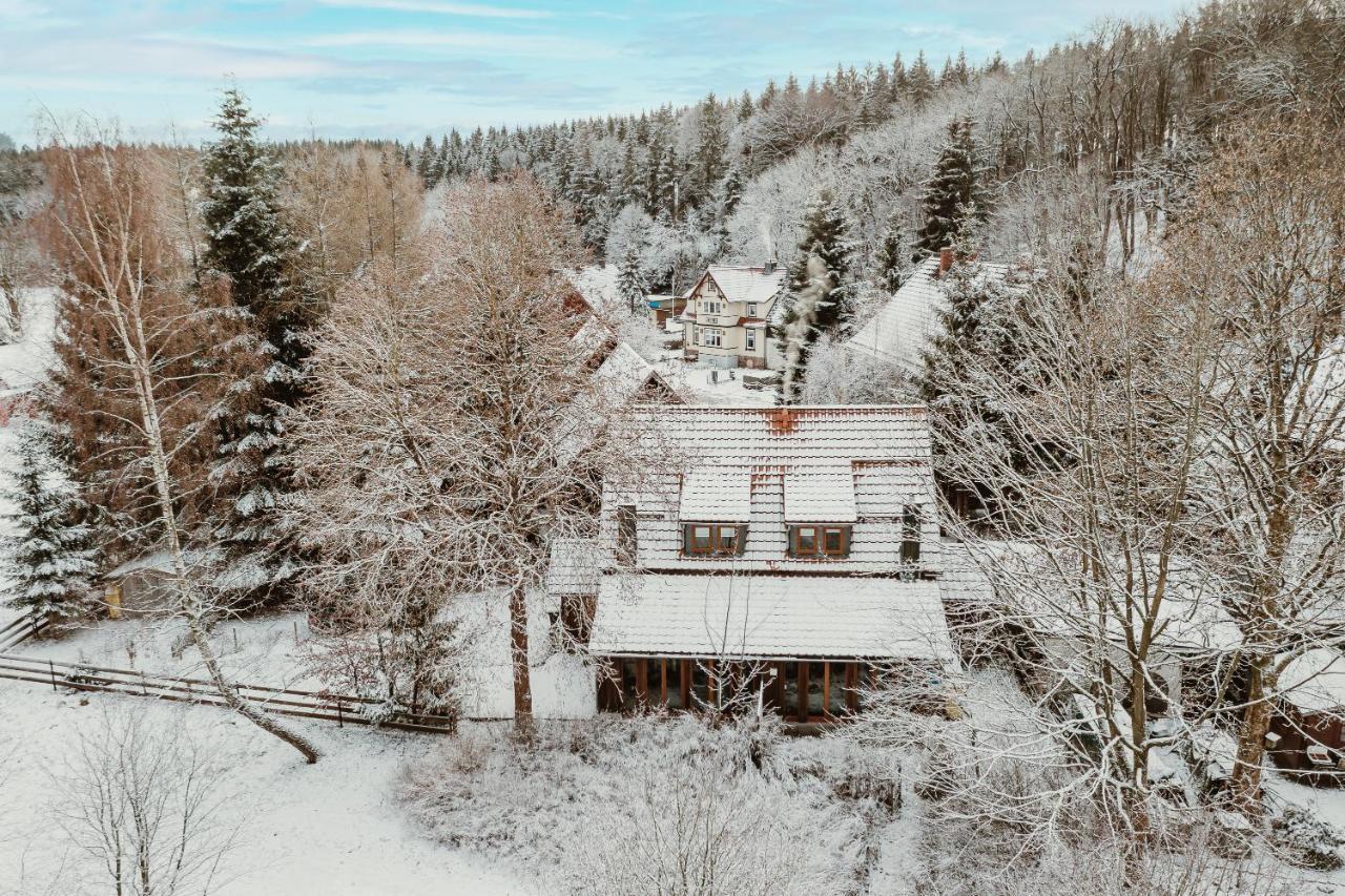 Harzchalet An Der Brockenbahn 2B Elend Exteriör bild